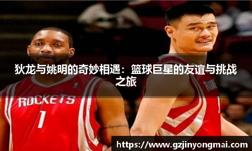 狄龙与姚明的奇妙相遇：篮球巨星的友谊与挑战之旅